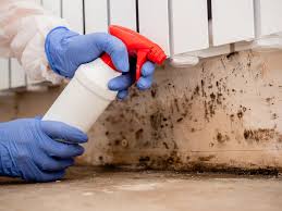 Mold Documentation for Insurance Claims in Gosport, IN